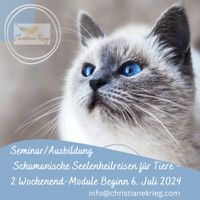 Schamanische Seelenheilreisen f. Tiere Ausbildung 2 Module 6.7.24 Schleswig-Holstein - Ahrensburg Vorschau