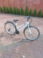 28. Zoll Frauenfahrrad SUPER ANGEBOT ‼️‼️ Duisburg - Duisburg-Mitte Vorschau