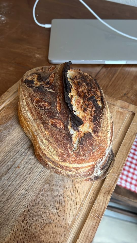 Sauerteigstarter / Sauerteiganstellgut (Weizen & Roggenmehl) in Berlin