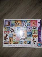 Yoga cat Puzzel 1000 Teile neu/ovp Baden-Württemberg - Leonberg Vorschau