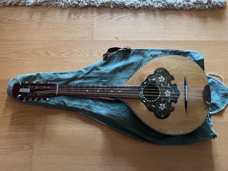 Waldzither Mandola Karel Pilar 9 Saiten in Waren (Müritz)