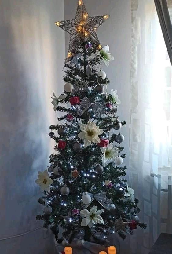 fsm Weihnachtsbaum Künstlicher Klappbar grün mit Ständer 150 cm in Köln