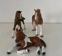 Schleich Fohlen Nordrhein-Westfalen - Lengerich Vorschau