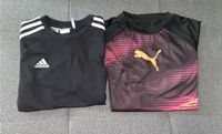 2x Sportshirt Gr. 152 Adidas und Puma Brandenburg - Brück Vorschau