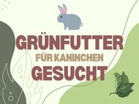 Suche Frischfutter; Gemüsegrün, aussortiertes Gemüse ect. Niedersachsen - Rotenburg (Wümme) Vorschau