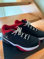 Nike Jordan Max Aura 3 Größe 42 Hessen - Gladenbach Vorschau