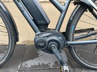 E-Bike Pegasus Solero Bosch Niedersachsen - Bad Harzburg Vorschau