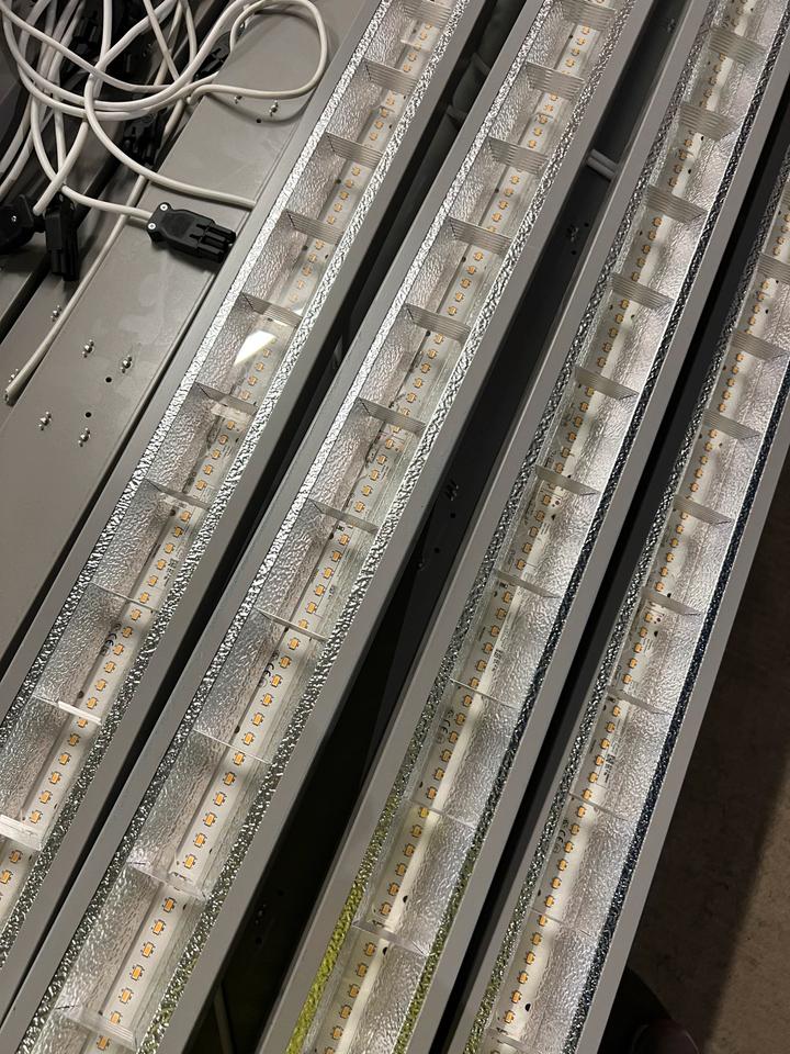 Langfeld Leuchten LED Licht 33 Watt über 700 Stück in Nonnweiler