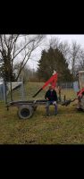 Holzrückhänger/Hänger mit Kran Rheinland-Pfalz - Emmelshausen Vorschau