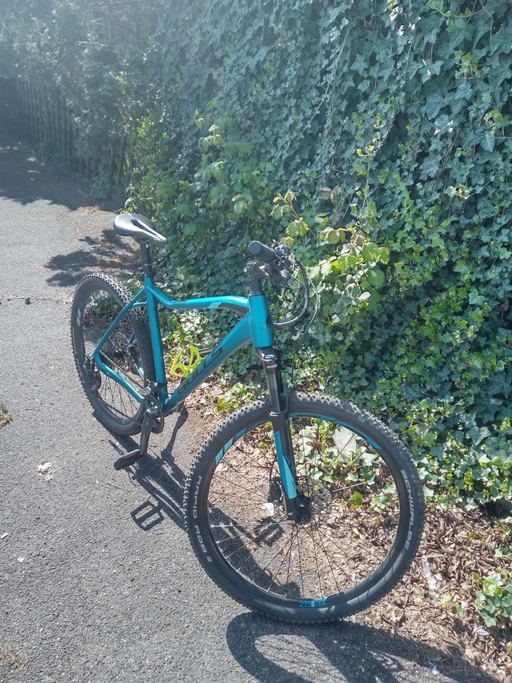 Fahrrad Bulls aminga 2 in Köln