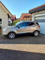 Ford Ecosport Titanium X Automatik Schiebed. Winterpaket Navi SHZ Hessen - Gelnhausen Vorschau