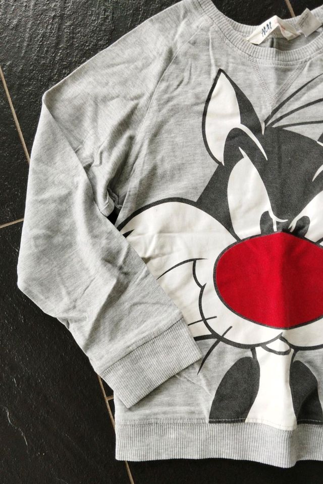 H&M Looney Tunes Pullover Sweatshirt Größe 122/128 in Grettstadt