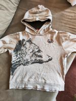 Pulli Gr. 122 Pusblu Bär Sweatshirt Jungen beige Pullover Kapuze Bayern - Altenstadt an der Waldnaab Vorschau