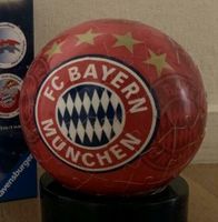 FC Bayern Puzzleball Schleswig-Holstein - Panten Vorschau