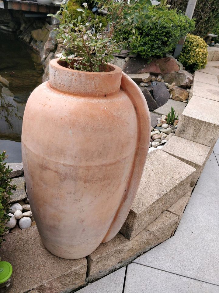 Garten Amphore Terracotta Terrasse Vase dekorativ Italien in Wörrstadt