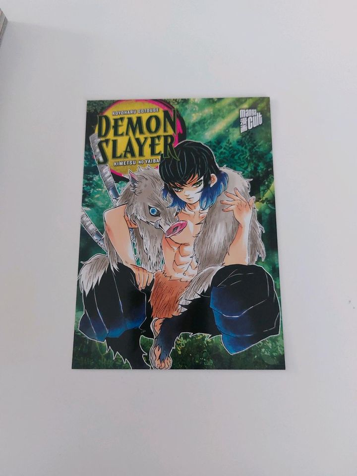 Manga, Demon Slayer 1 in Uetze