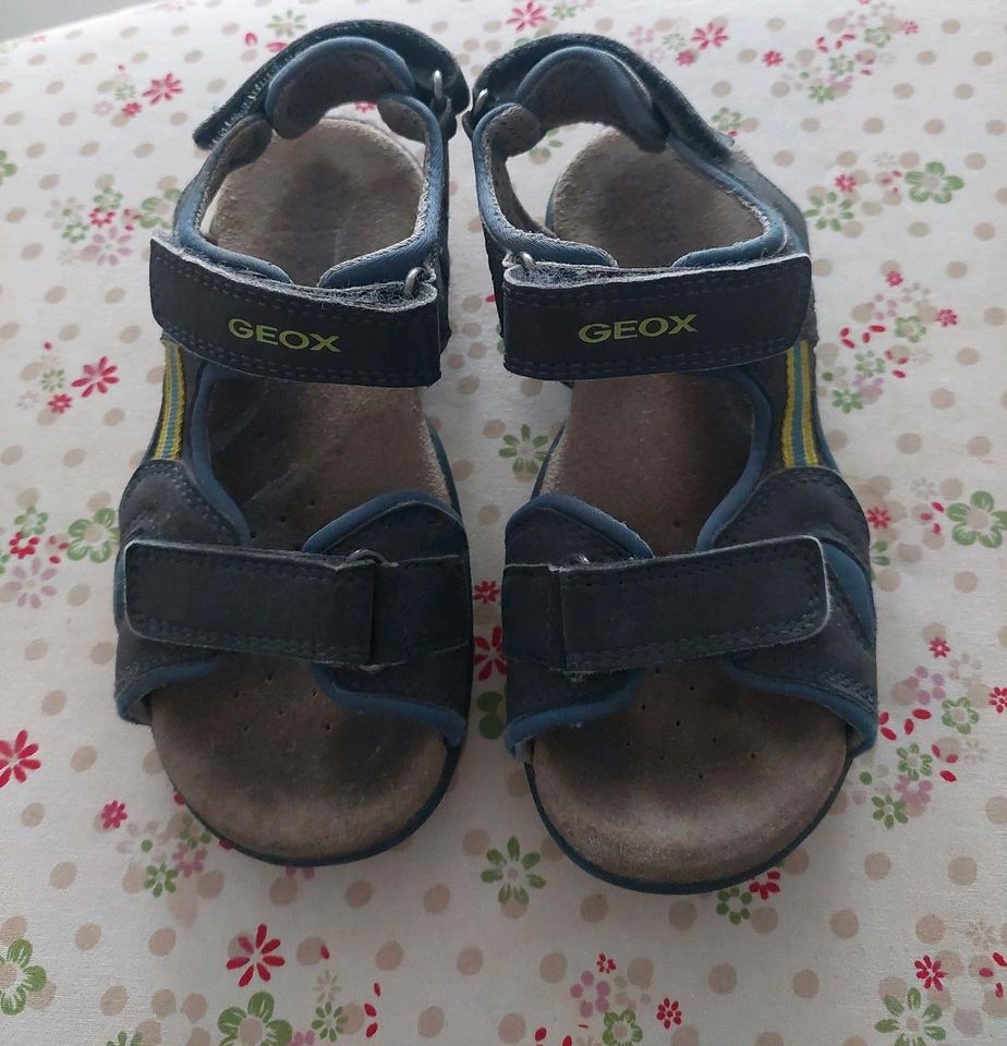 Geox Sandalen gr. 29 in Solingen