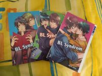 [VEFKAUFE] Bl Syndrom 1-3 manga boys love akino shiina Hessen - Breuberg Vorschau