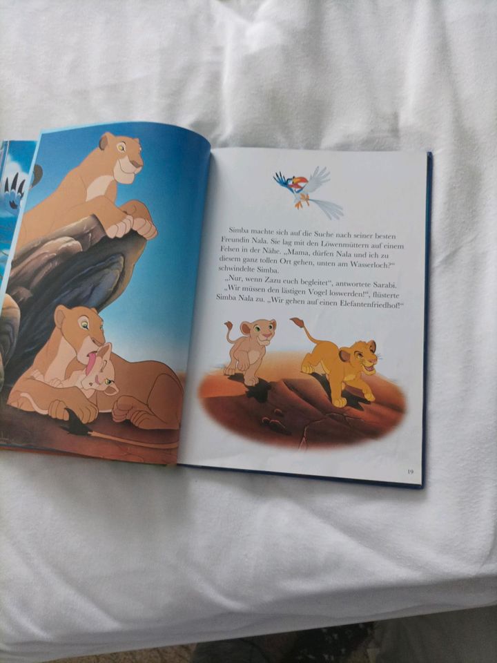 Buch König der Löwen in Mömbris