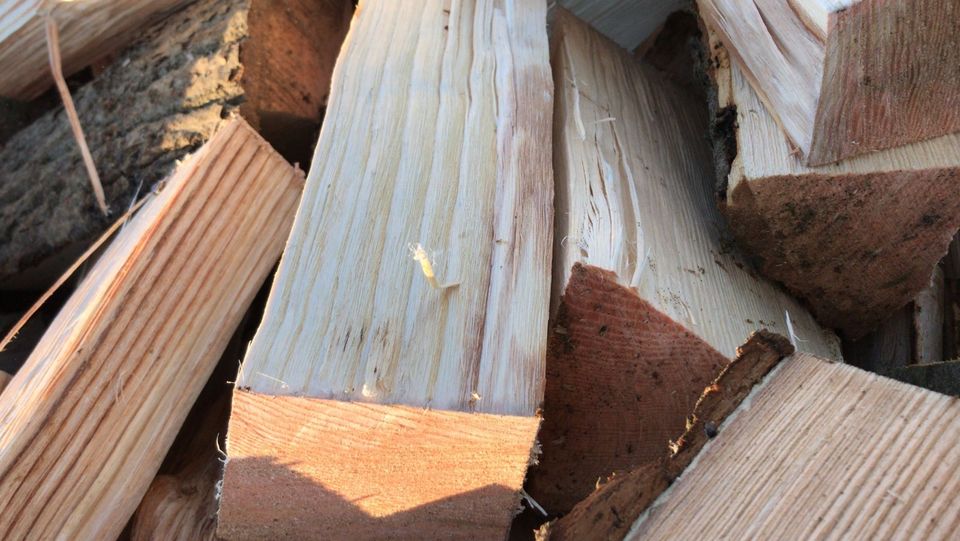 Brennholz Ofenholz Kaminholz Buche in Schellhorn (bei Preetz, Holst)