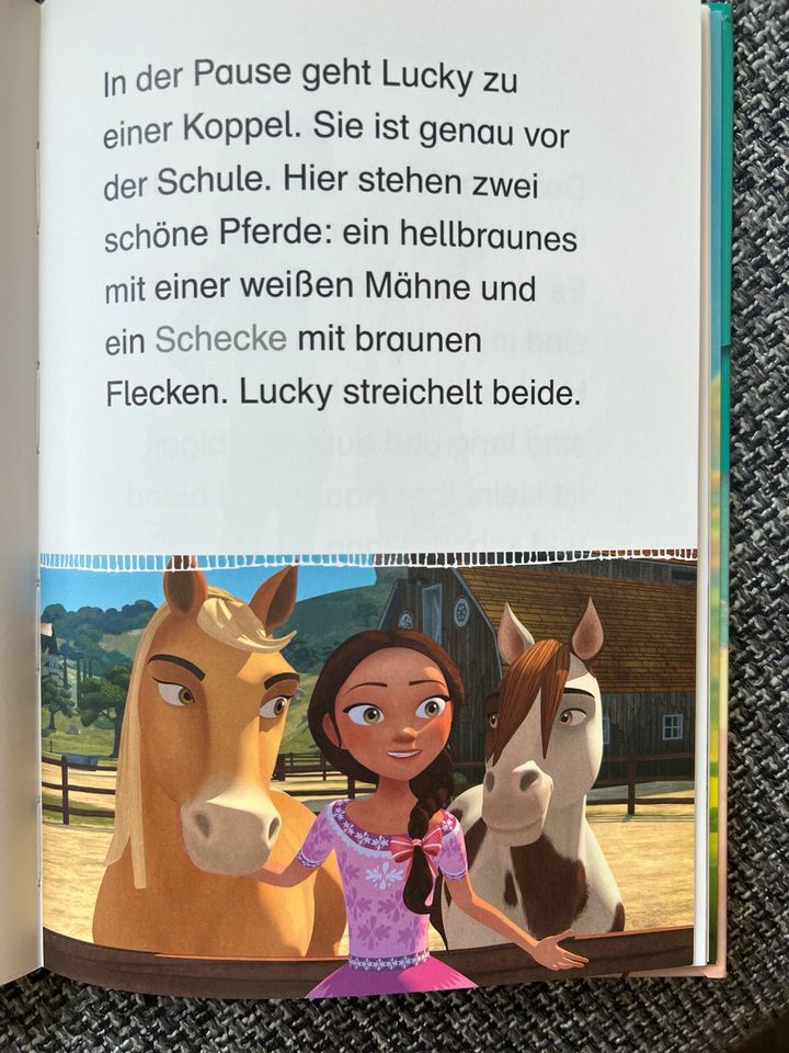 Erstlesebuch / Leselöwen / Spirit / Leseanfänger in Sankt Augustin