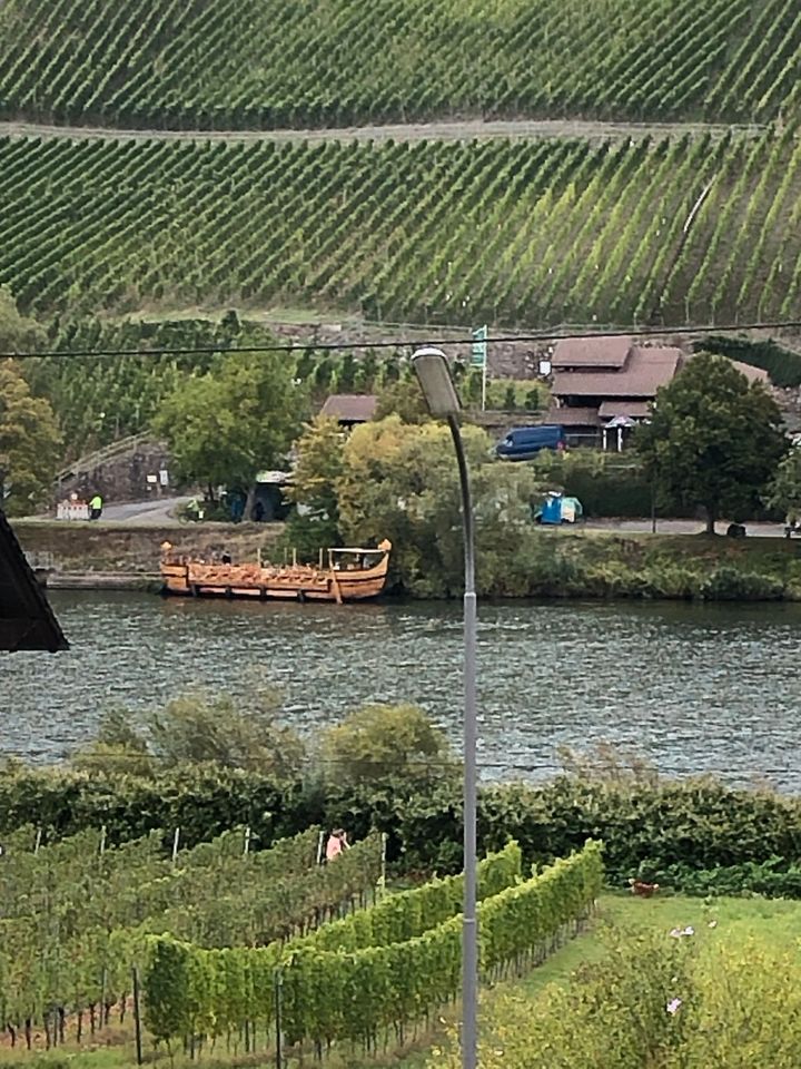 Ferienappartement / Ferienwohnung im Weinort Piesport (Mosel) in Piesport