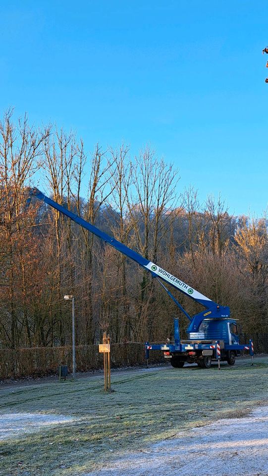 Baumpflege Baumfällung WOHLGEMUTH  Hubarbeitsbühne 28 m in Beverungen