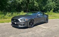 Ford Mustang 5.0 Ti-VCT V8 GT Auto GT Nordrhein-Westfalen - Dorsten Vorschau