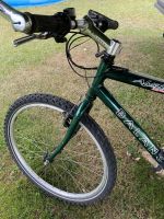 Mountainbike Balance AL-550, 19 Zoll-Rahmen Saarland - Kirkel Vorschau