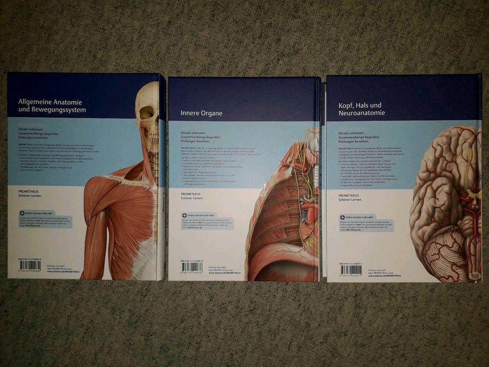 Prometheus LernAtlas Anatomie 5. Auflage in Warburg