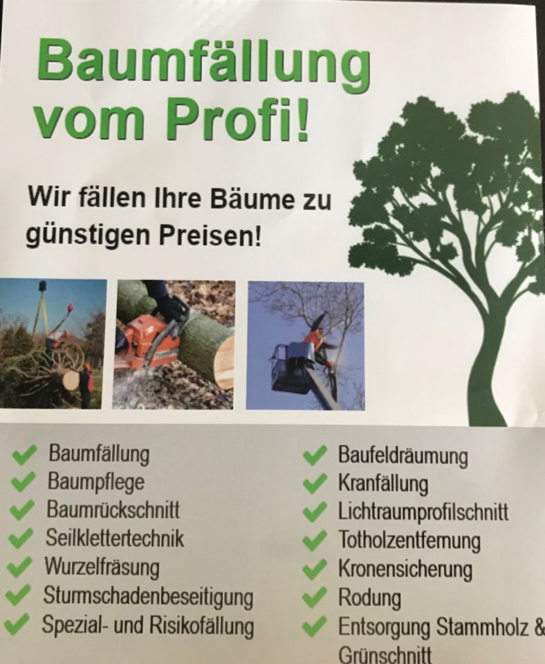 Baumfäller Baum fällen Baumfällung Baumkletterer Wurzeln fräsen in Moers