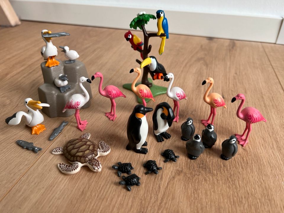 Playmobil Tiere Vögel - Pelikan, Flamingo, Pinguine, Schildkröte in Wolfsburg
