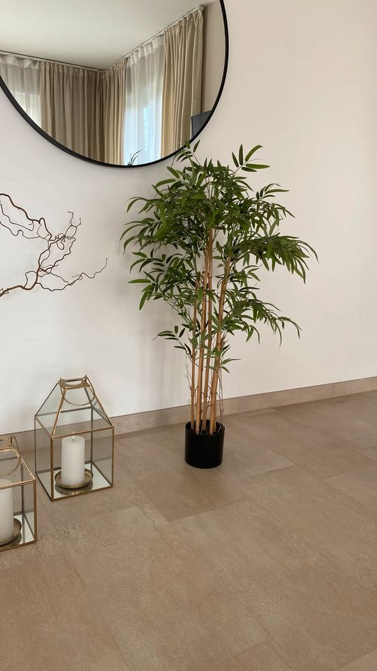 Kunstpflanze Bambus in Wandlitz