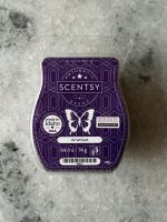 Amethyst Scentsy Bar Nordrhein-Westfalen - Sankt Augustin Vorschau