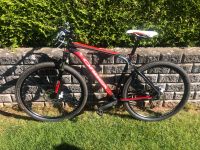 Orbea Alma Mountainbike 29 Zoll L MTB Saarland - Lebach Vorschau