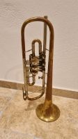 Trompete Konzerttrompete in b Bayern - Aschau am Inn Vorschau