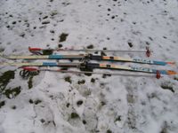 trak Langlaufski Ski 205 cm mit Stöcke 144 cm Salomon Bindung Hessen - Fulda Vorschau