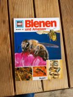 Sachbuch Kinder Bienen und Ameisen Bayern - Eichstätt Vorschau