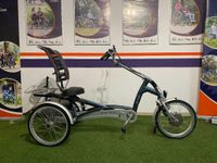 Van Raam Easy Rider Therapeutisches Elektro Dreirad Silent Motor Nordrhein-Westfalen - Gronau (Westfalen) Vorschau