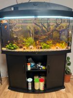 Aquarium 250 L Rheinland-Pfalz - Mendig Vorschau