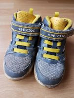 Gr. 27 Geox mit Blinkfunktion Schuhe Halbschuhe Stiefel Niedersachsen - Neustadt am Rübenberge Vorschau