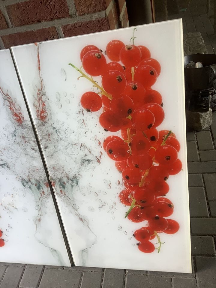 Küchen Theken Rückwand 2x vorh. Spritzschutz in Hörstel