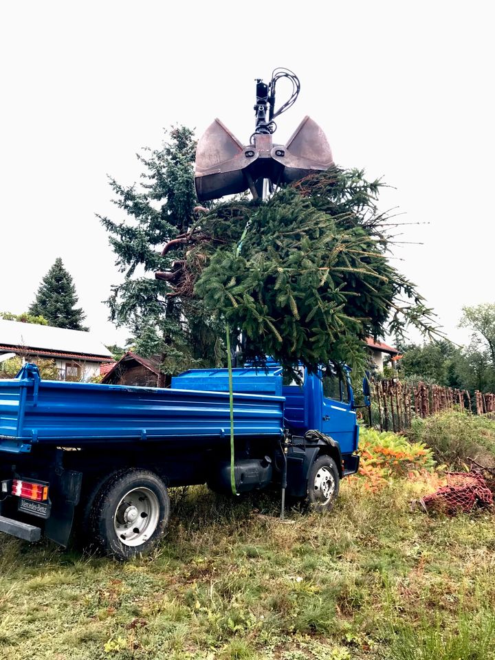 Hausmeisterservice in Weinböhla