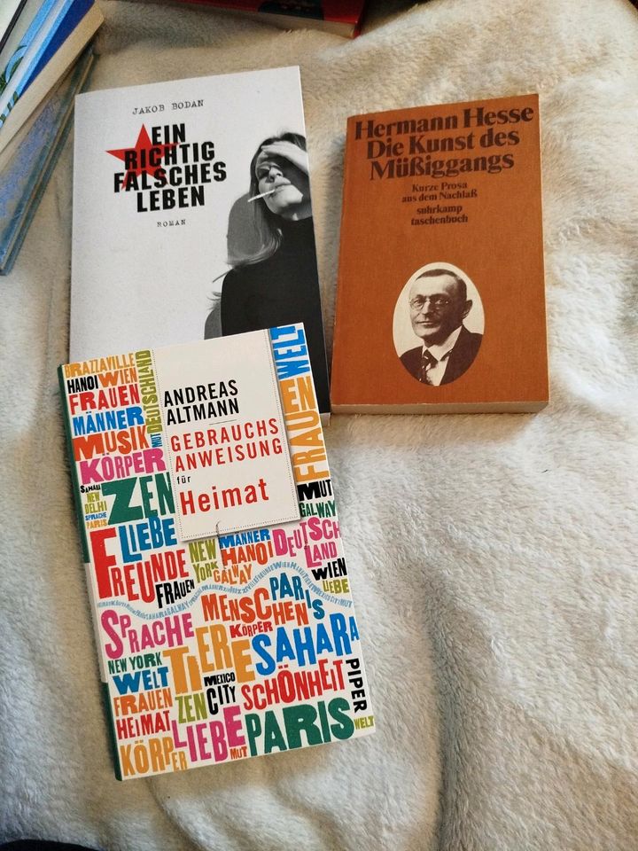 Romane von Jakob Bodan, Andreas Altmann und Hermann Hesse in Reinheim