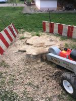 Baumstumpfentfernung Stubbenfräsen Baumstumpf Entfernung wurzel Freiburg im Breisgau - Umkirch Vorschau