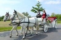 Weiße Hochzeitskutsche Brandenburg - Doberlug-Kirchhain Vorschau