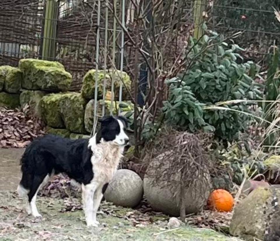 Malin – schüchterner Rohdiamant auf dem Weg zum Familienglück in Lichtenau Mittelfr