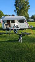 Fiamma Caravanstore XL 280 Royal Grey Sackmarkise, neuwertig Baden-Württemberg - Ellwangen (Jagst) Vorschau