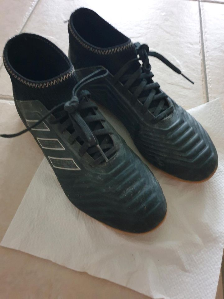 Adidas Predator Multinoppen 38,5 in Dresden