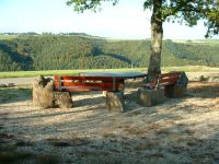 Ferienhaus Eifel Adenau Nürburgring Blankenheim wandern Hund WLAN Rheinland-Pfalz - Eichenbach Vorschau